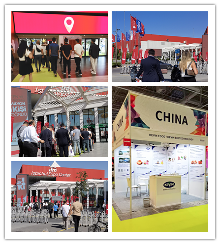 土耳其展会合并.png